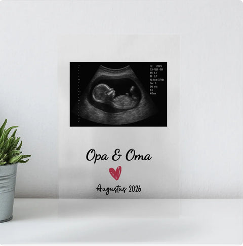 Baby-frame